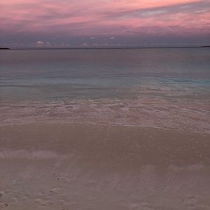 Meet your Posher, Hayley